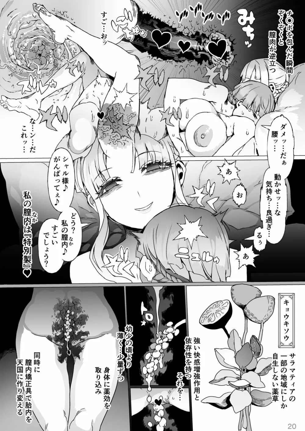 賢帝を歪めた悪姫 Page.21