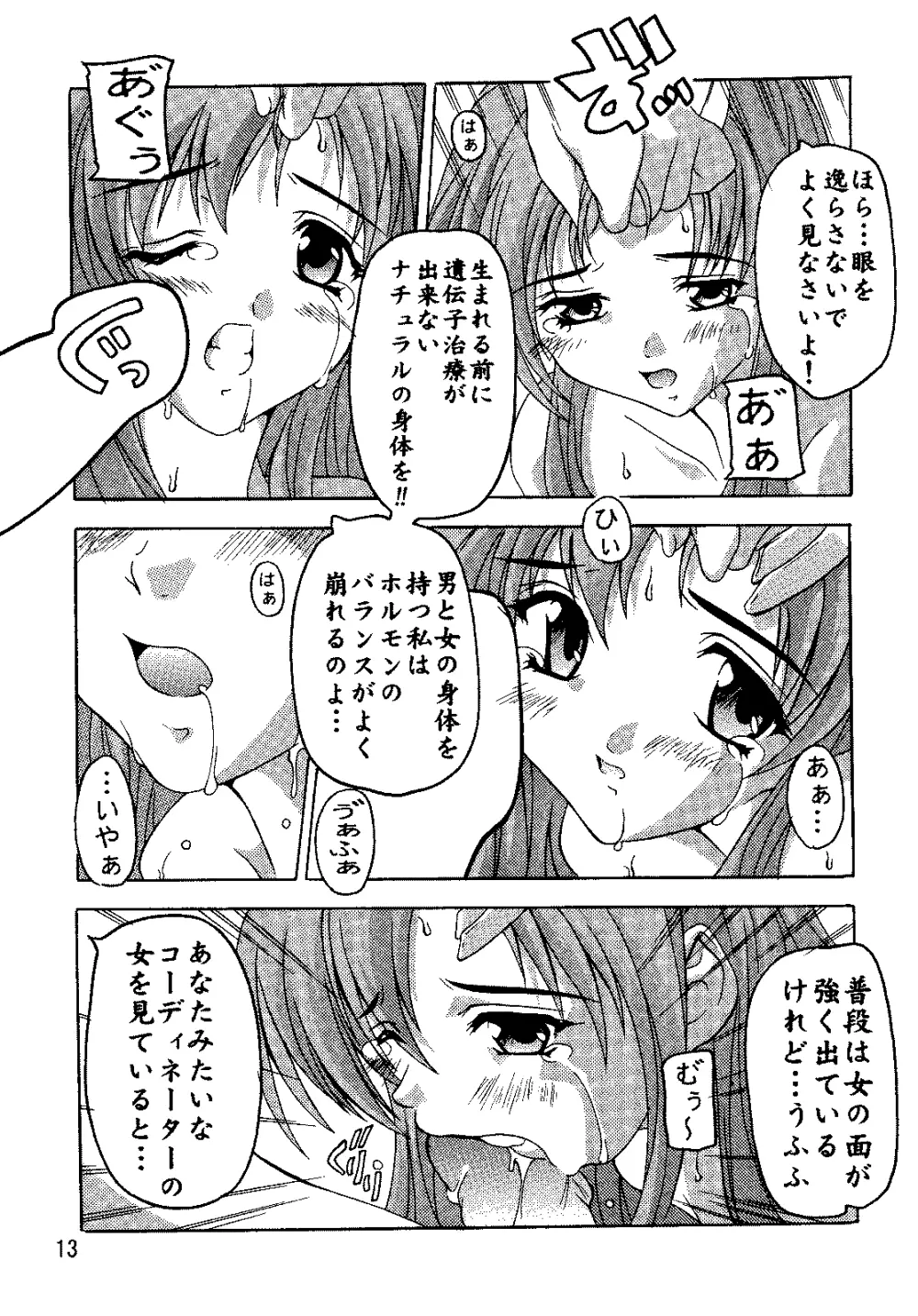 SEED総集編 Page.12