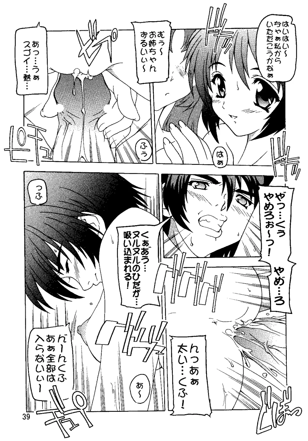 SEED総集編 Page.38