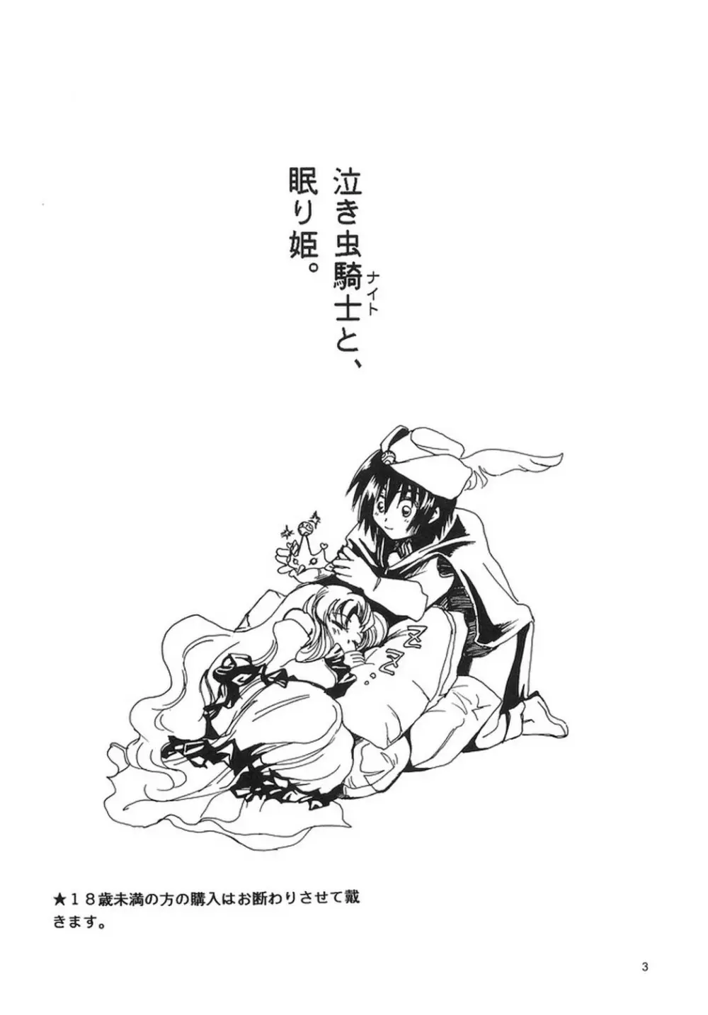 泣き虫騎士と、眠り姫。 Page.2