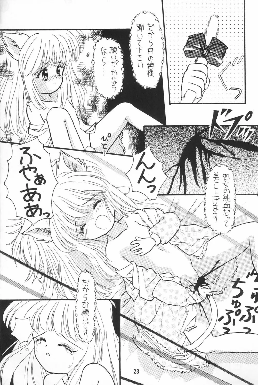 ぴんくのつぼみ Page.23