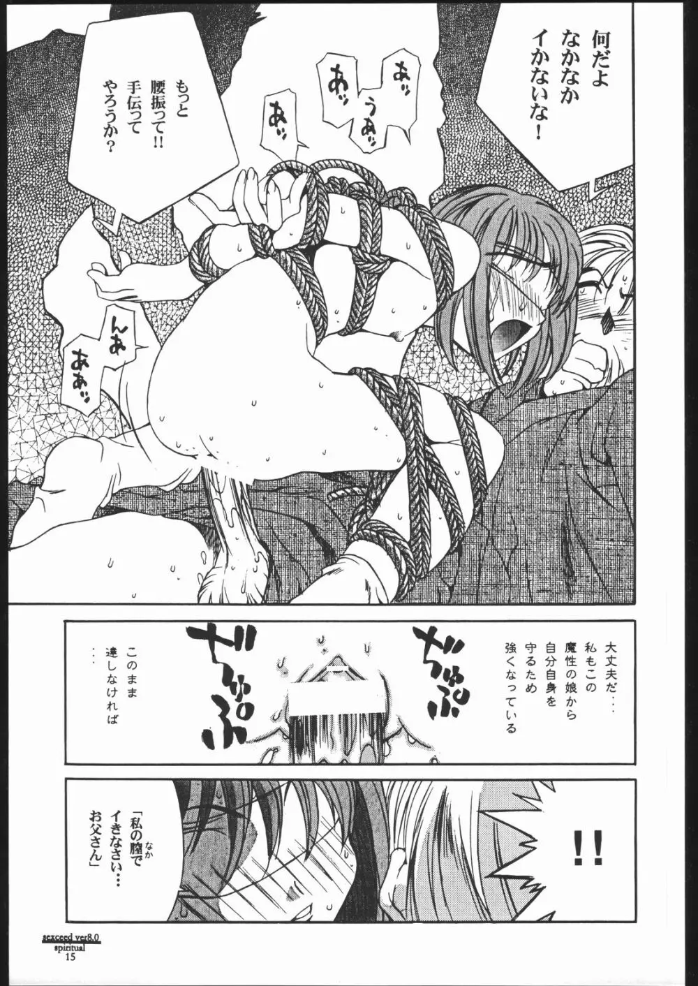 SEXCEED ver.8.0 Page.14