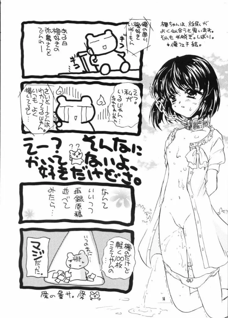 かえでのほん Page.13