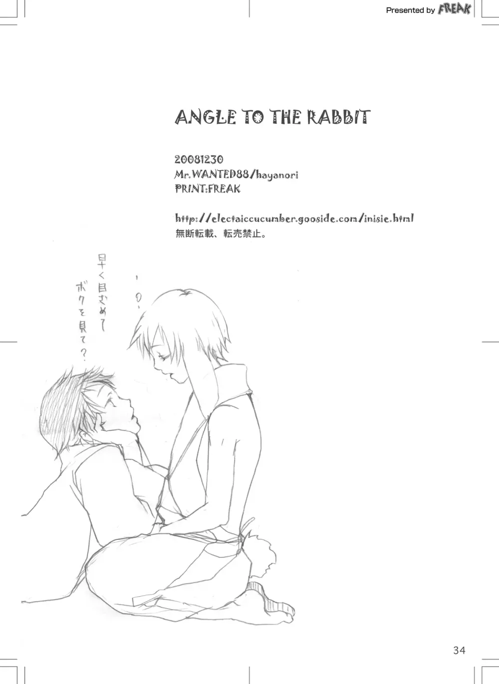 ANGLE TO THE RABBIT Page.33