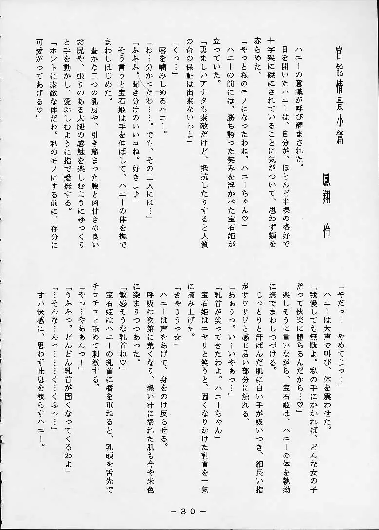 Ai No Hatimitsu Oneesan Page.29