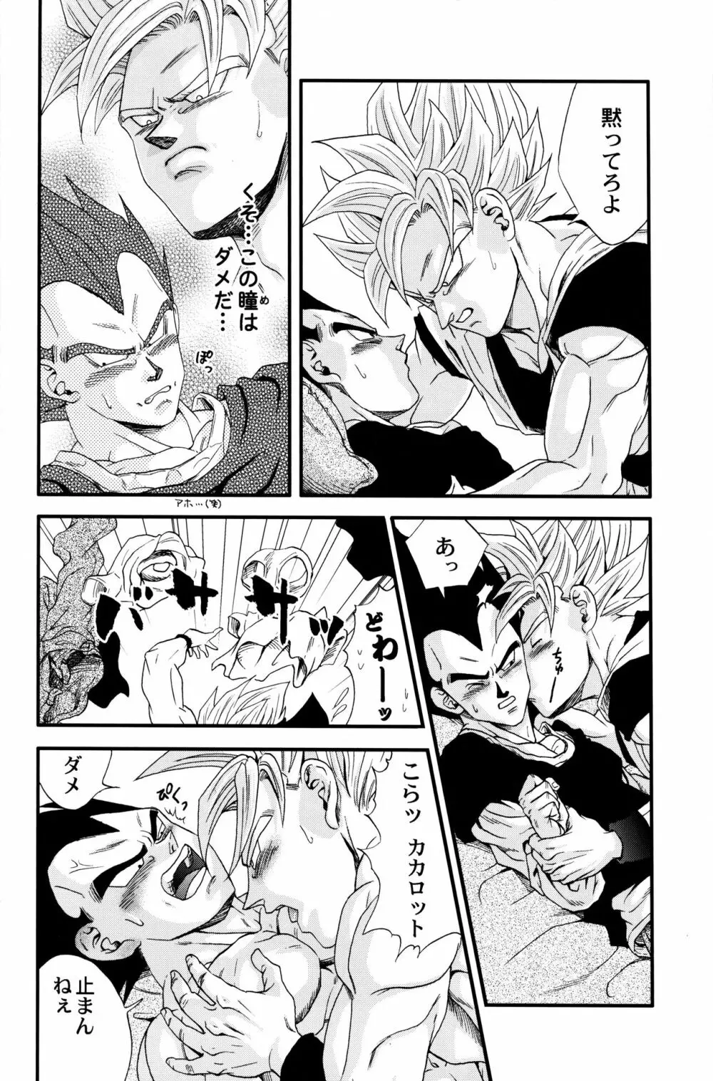 Dragonball Fan Book SPECIAL Page.13