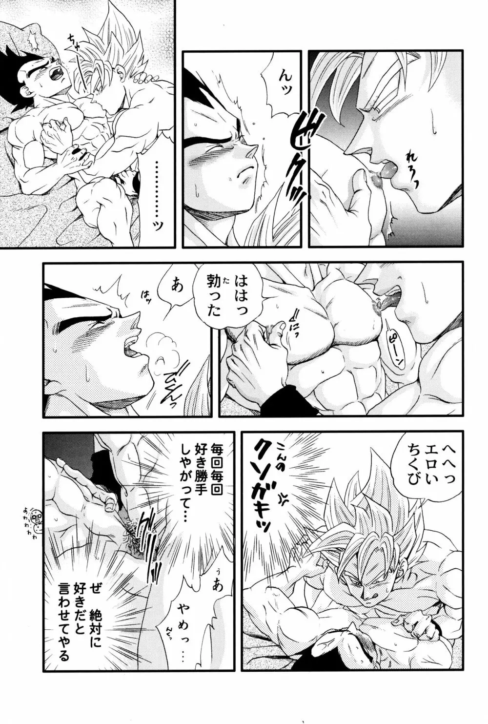 Dragonball Fan Book SPECIAL Page.14