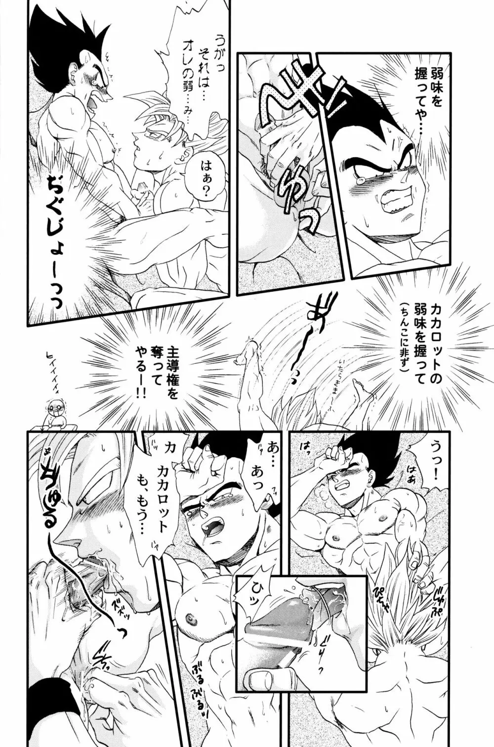 Dragonball Fan Book SPECIAL Page.15