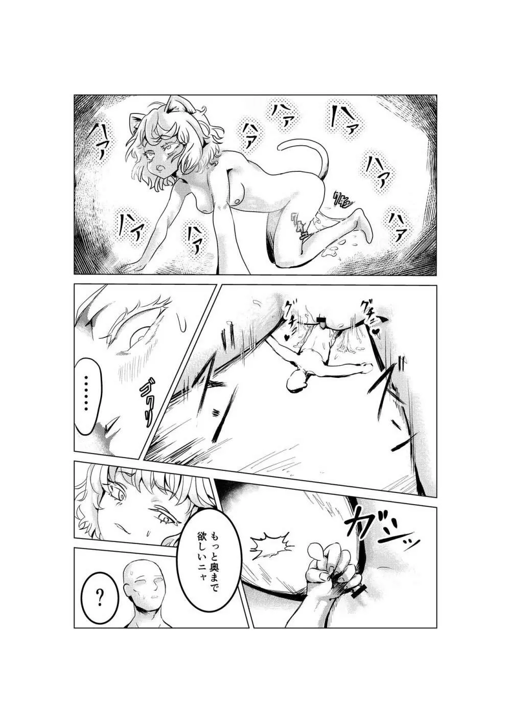 猫シュリンカー Page.12