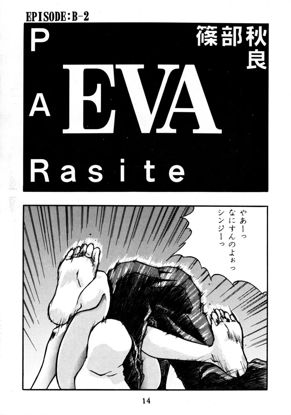 EVA PLUS B WEST JAPAN 仕様 Page.13