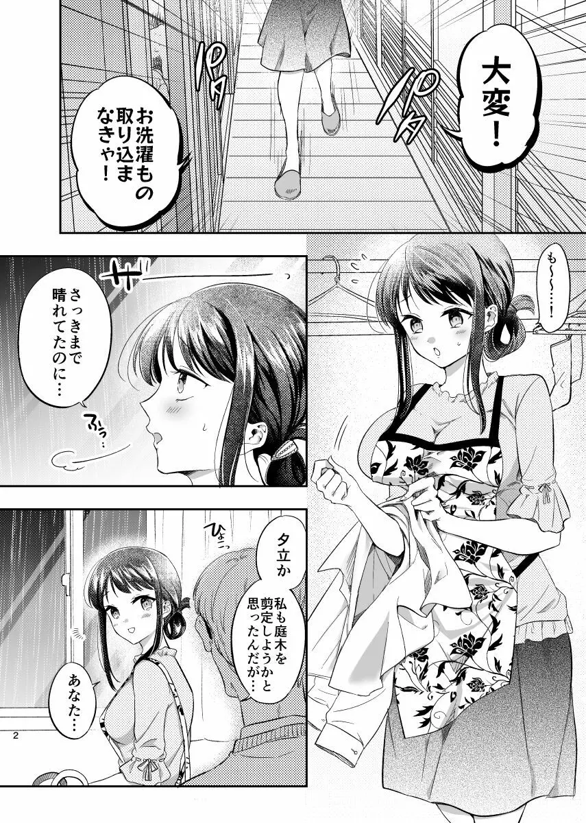 淫蕩リフォーム〜白昼の寝取られ美人妻〜 Page.3