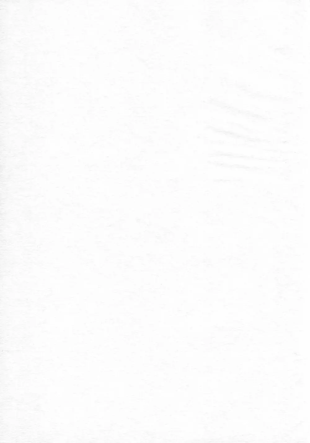 (リリカルマジカル11) [しんぷるくらす (しのづき巧)] off-White[0] 後編 (魔法少女リリカルなのは) Page.3