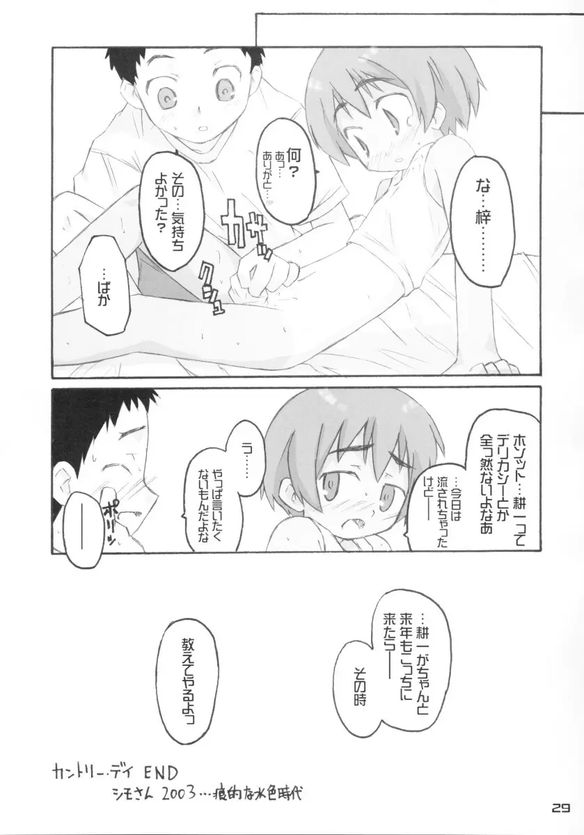 きずていぷ Page.29