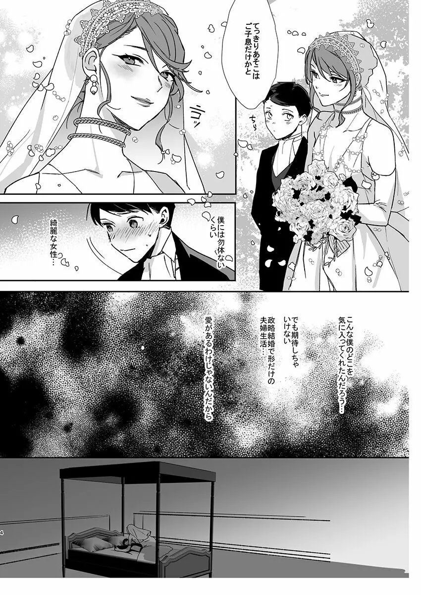 男花嫁と幼婿 Page.3