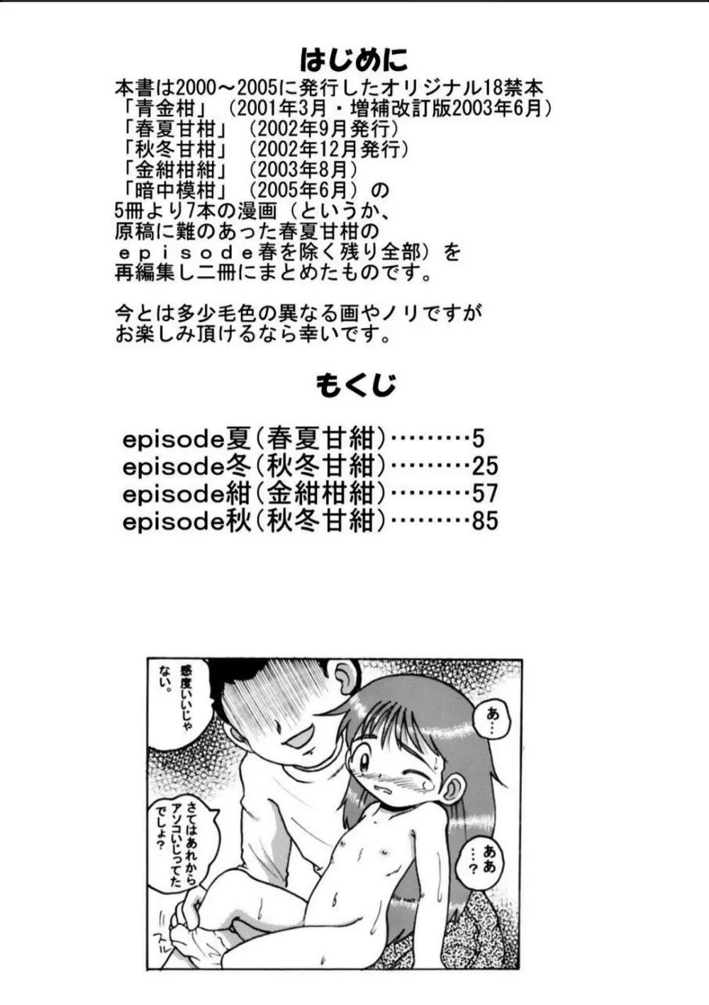 発掘総柑 其之弐 Page.4