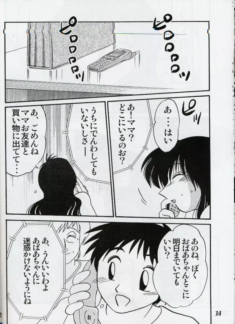 久枝背徳日記 栞の2 Page.13
