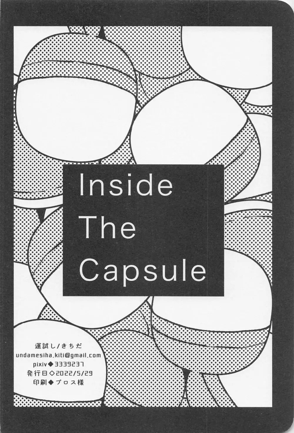 Inside The Capsule Page.33