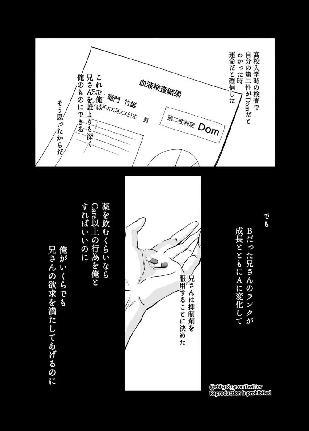 竹炭玉簾① Page.8