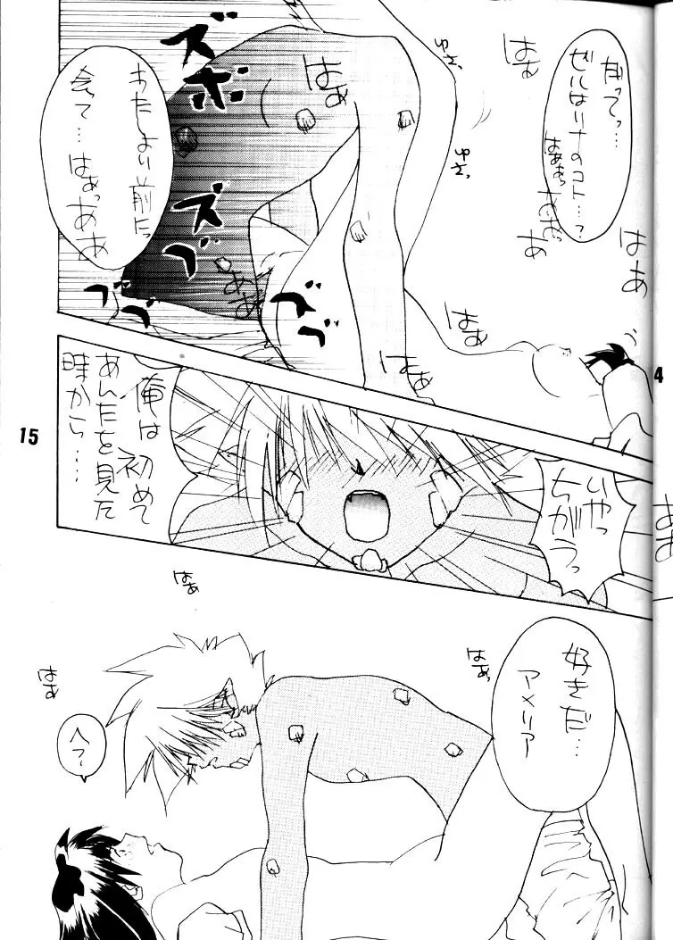大人のおもちゃ箱 Page.14