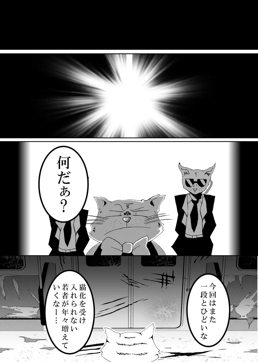 狸猫 ねこぶんのたぬき Page.16