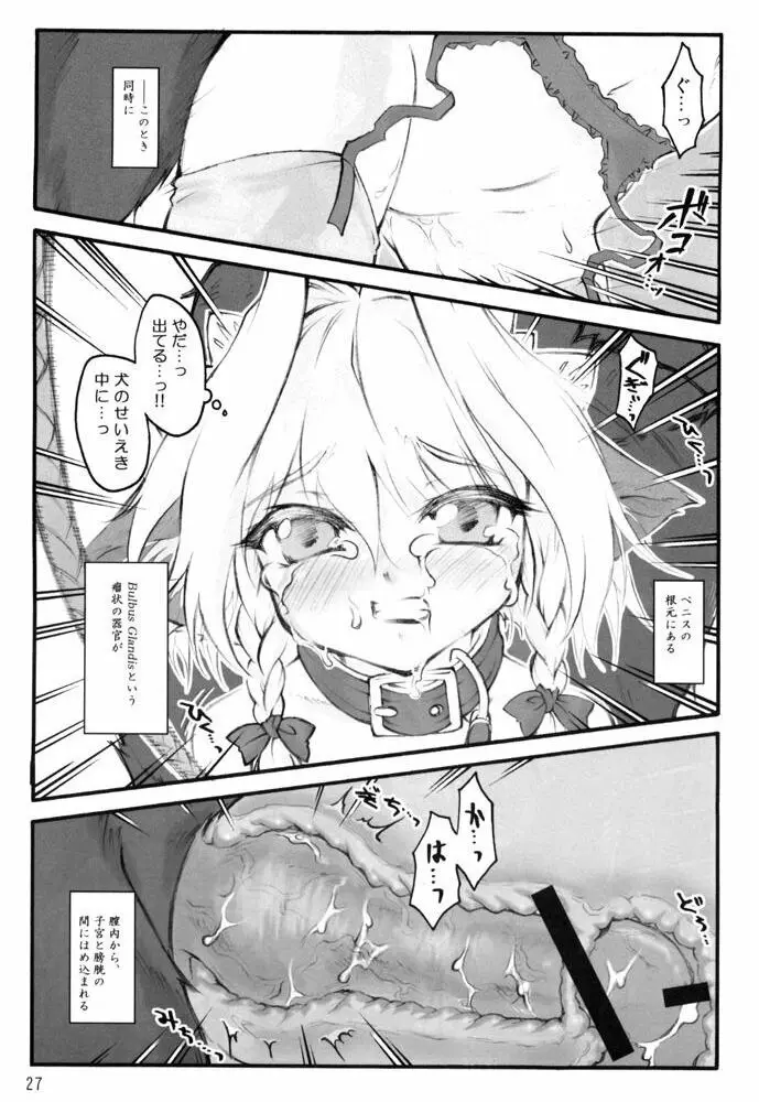 少女妊娠 犬咲夜 Page.3