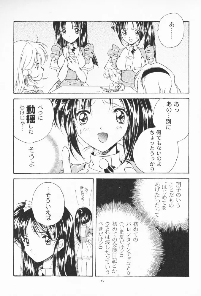 電脳少女系 Page.14