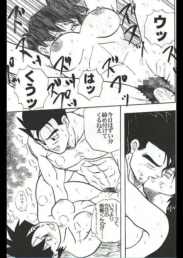 Dragon Ball Camp - Jap Page.13