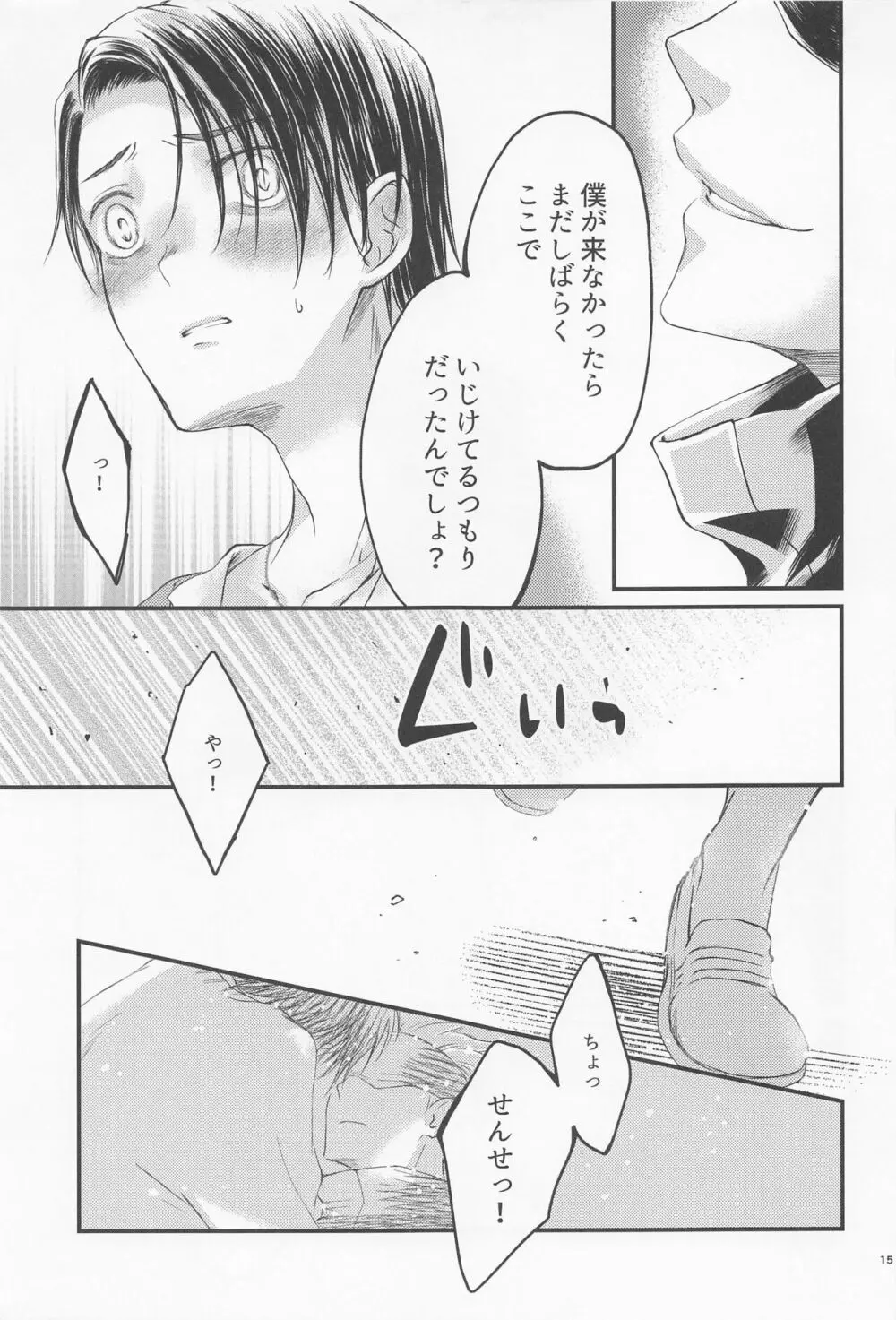 ダイヤモンドライクカーボン Page.14