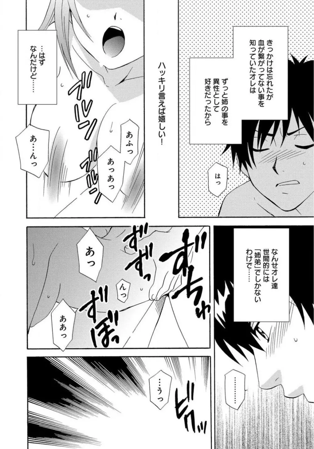 姉の肉蜜 Page.24