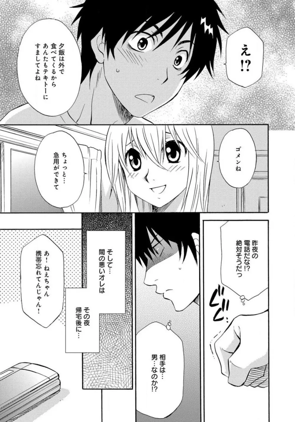 姉の肉蜜 Page.29