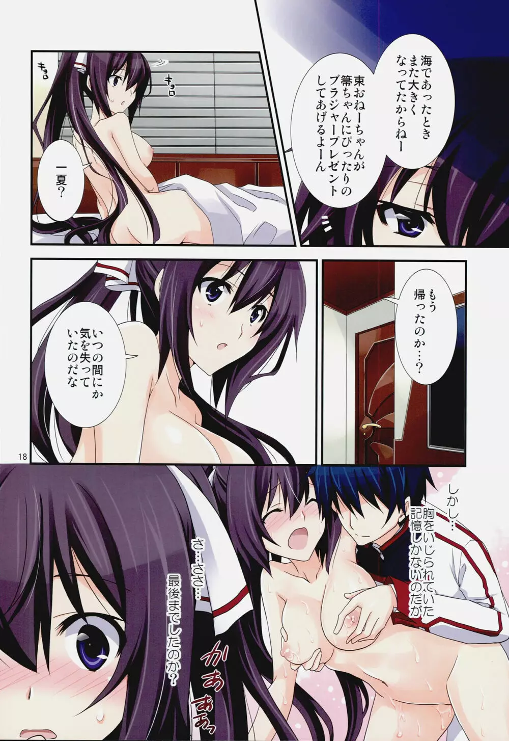 Burst Up！Infinite Stratos FAN BOOK Page.18