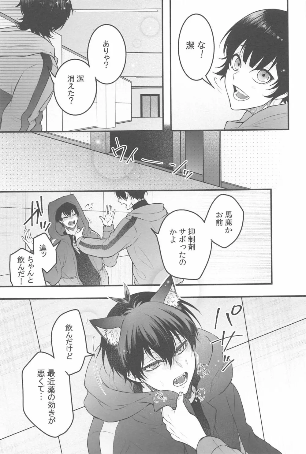 りんいさバラエティパック Page.14