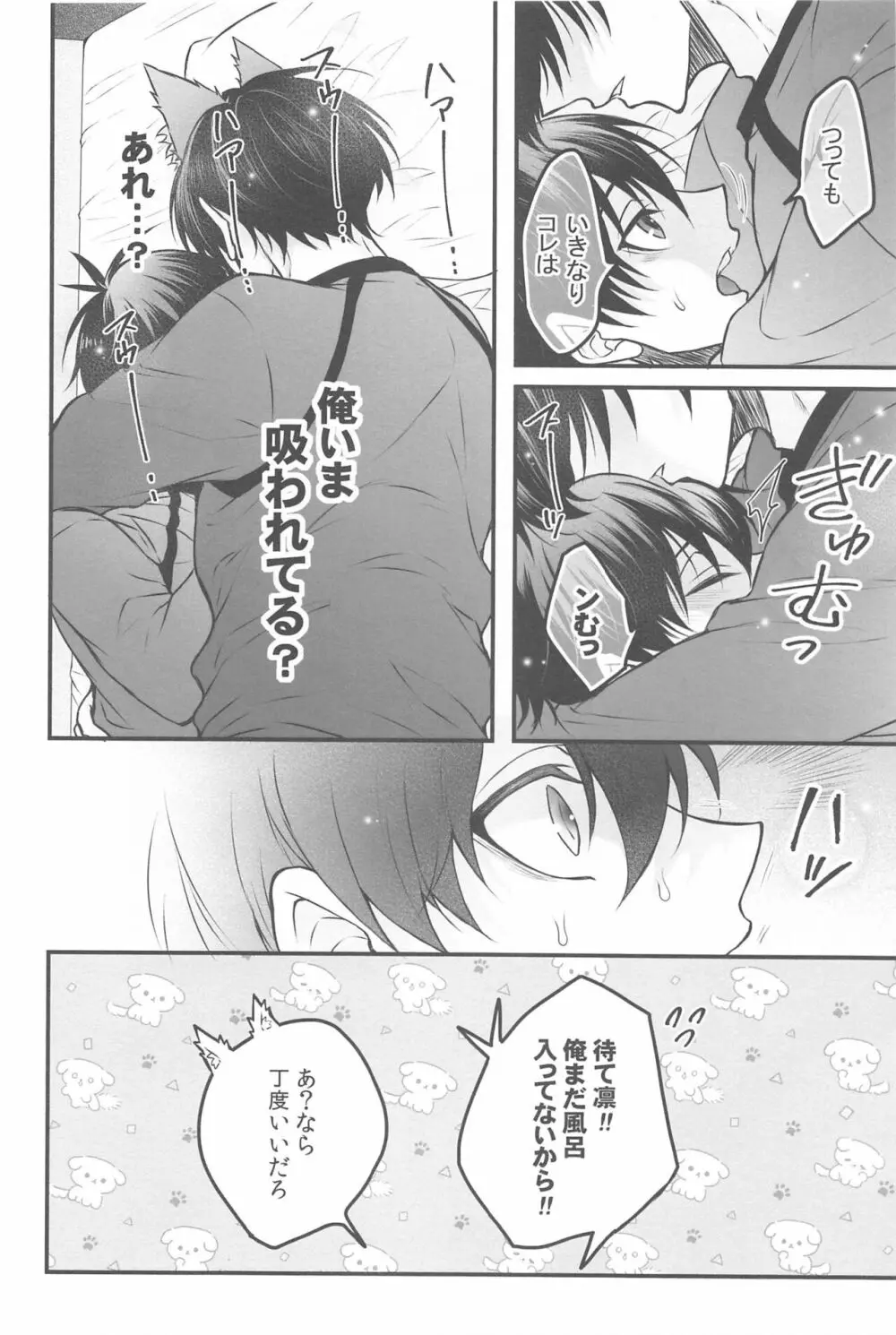 りんいさバラエティパック Page.23