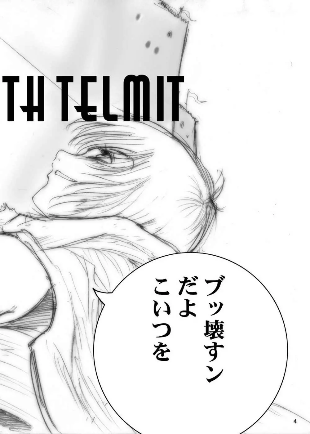Interview with Telmit Page.4