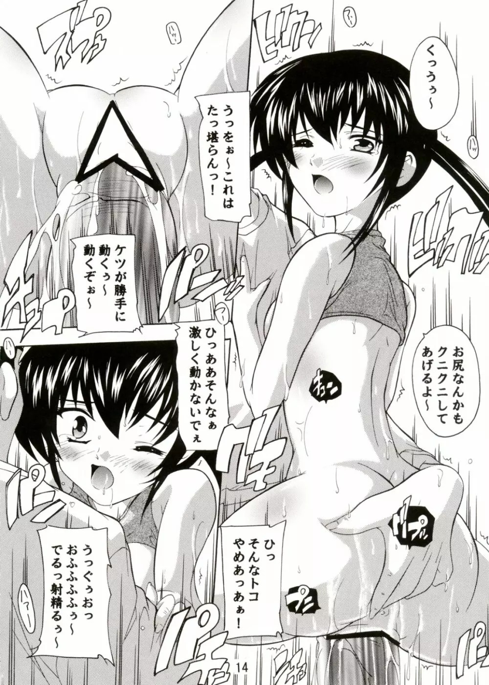AZU－NYAN 3 ぶるま～陵辱編 Page.14