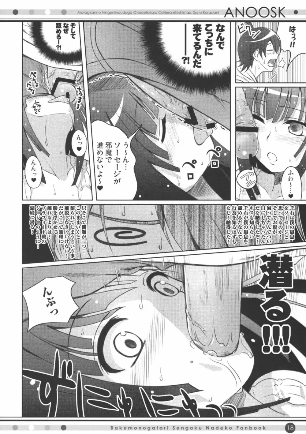 ANOOSK Page.17