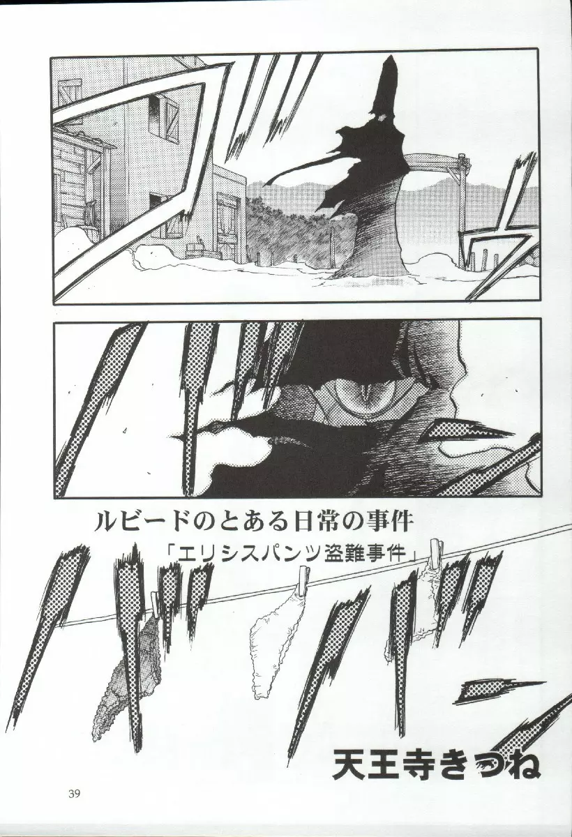 エリシスが出てる本完全版 Page.39