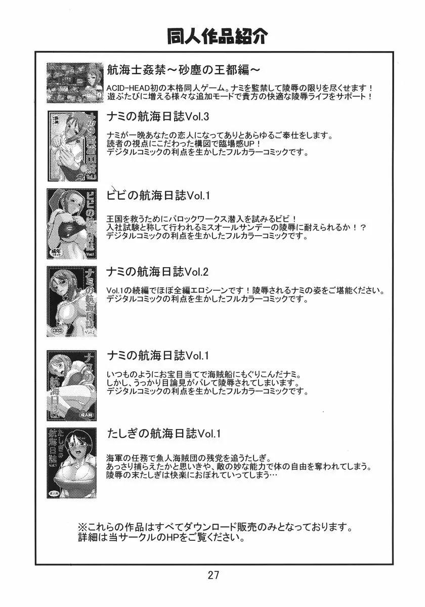 ナミの航海日誌すぺしゃる 3 Page.29