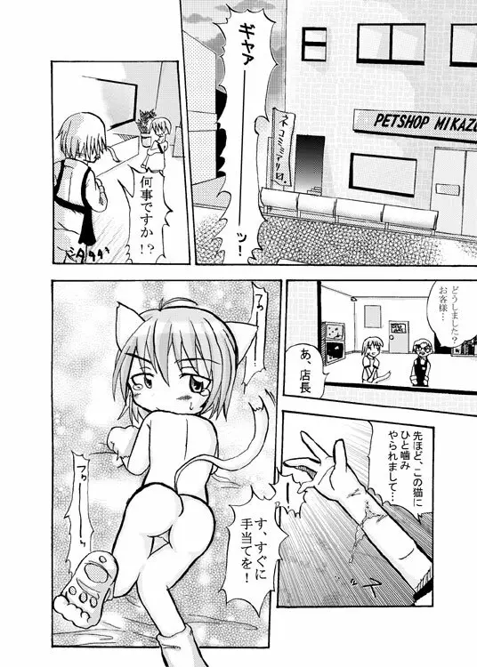 ノラネコ物語（16P) Page.2