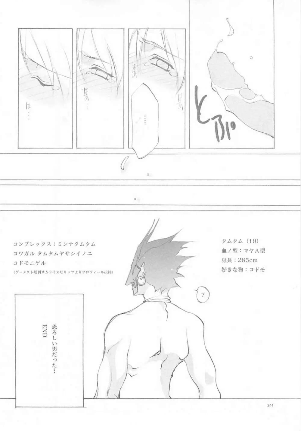 B-COLLECTION Page.243