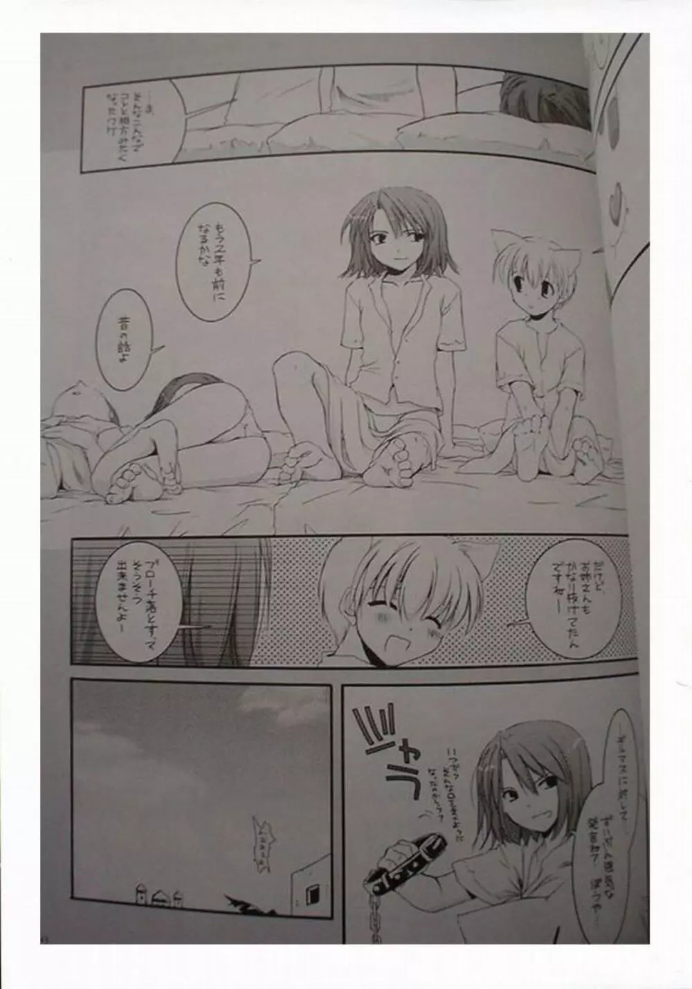 DL-RO Perfect Collection 01 Page.244