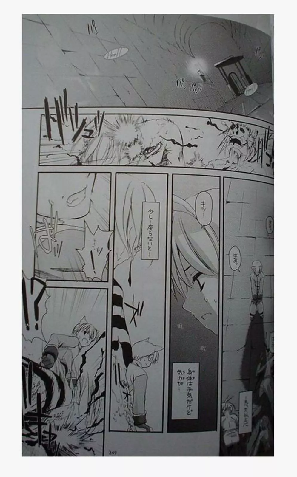 DL-RO Perfect Collection 01 Page.249