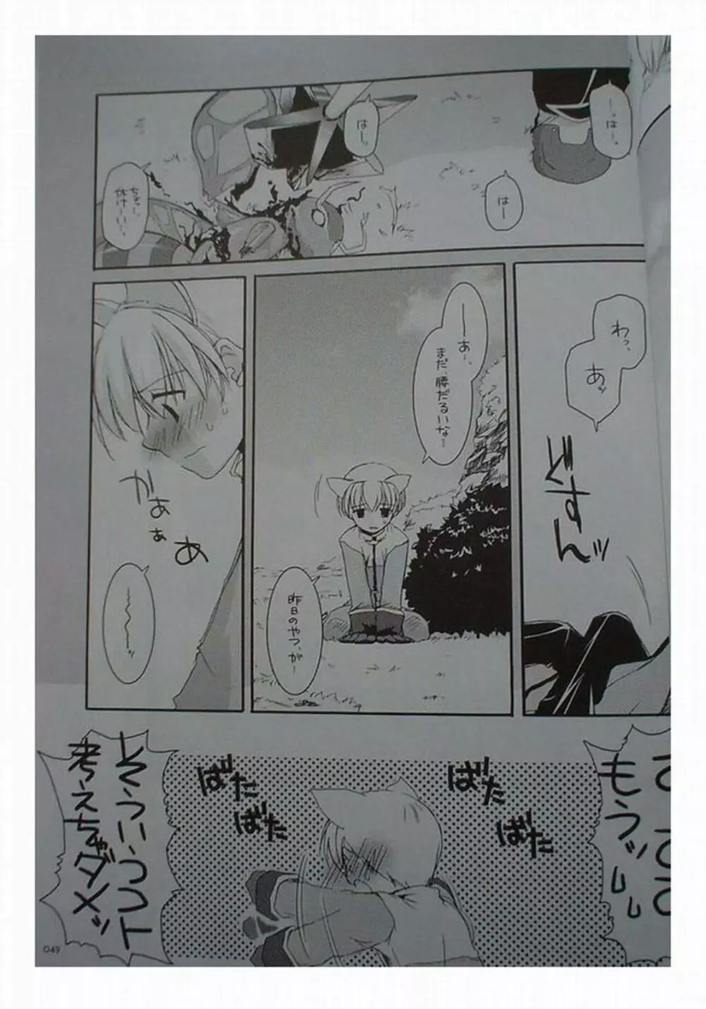 DL-RO Perfect Collection 01 Page.49
