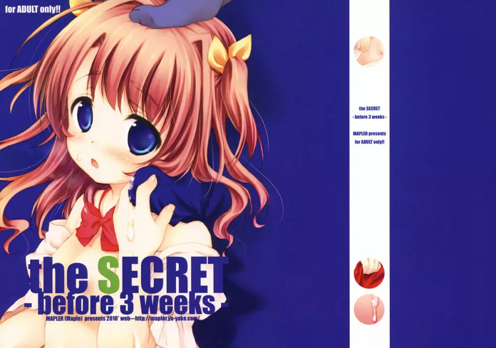 (C78) [MAPLER (まぷる)] the SECRET -before 3 weeks- コピー誌 Page.1