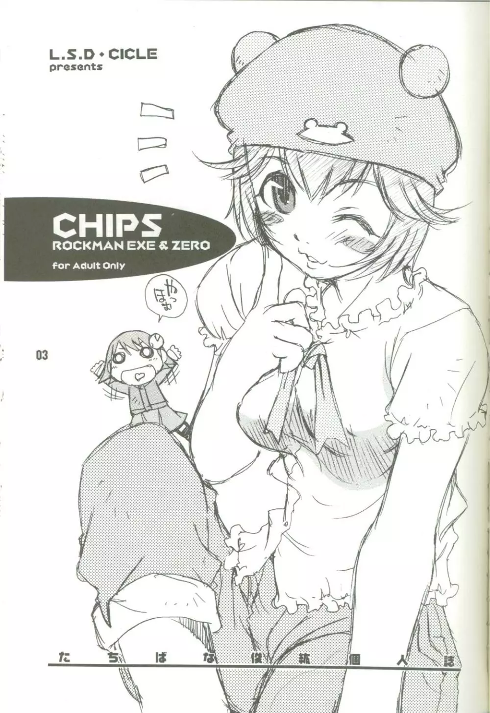 CHIPS Page.2