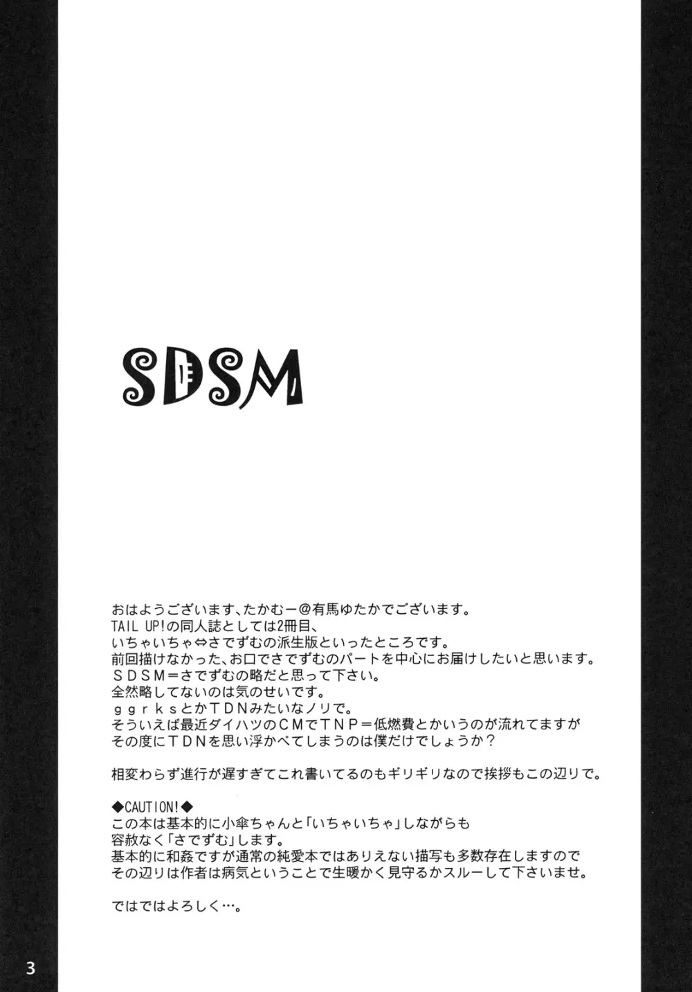 SDSM Page.2