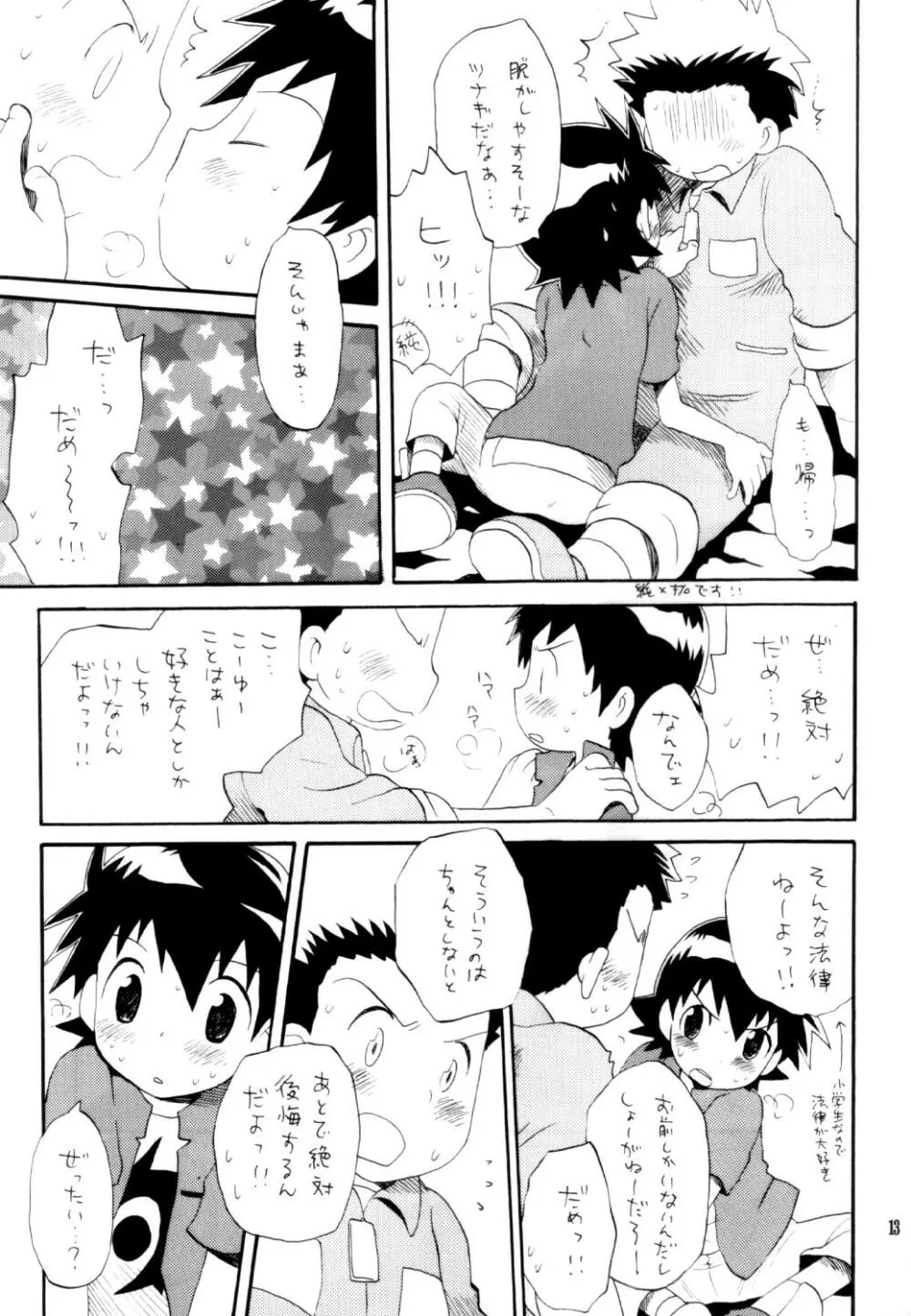 いなづまロックドーム Page.12