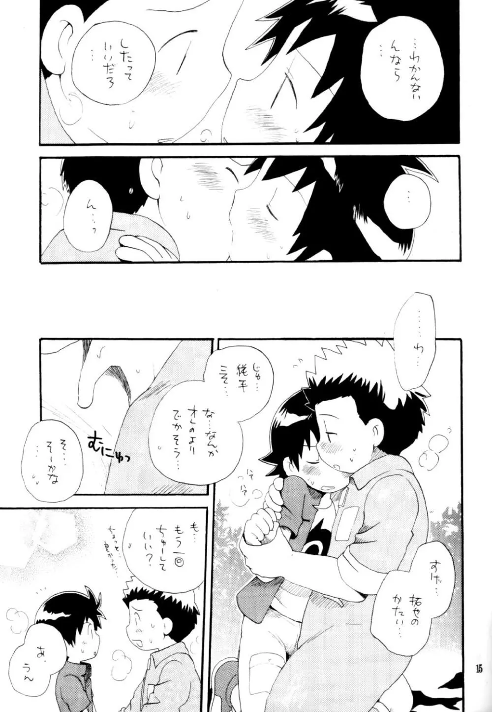 いなづまロックドーム Page.14