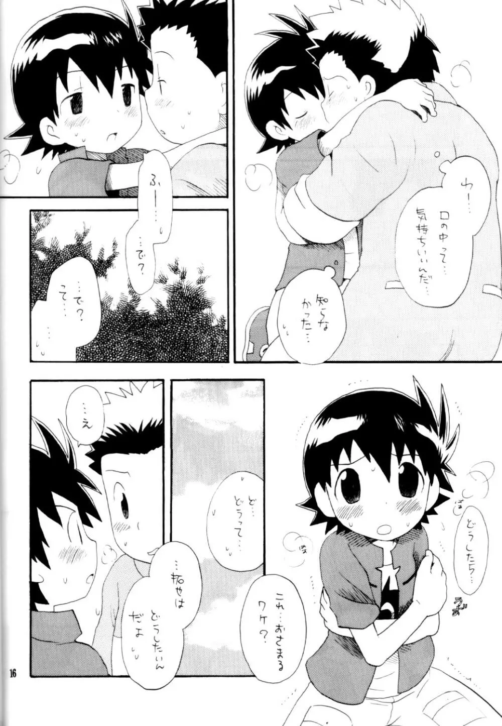 いなづまロックドーム Page.15