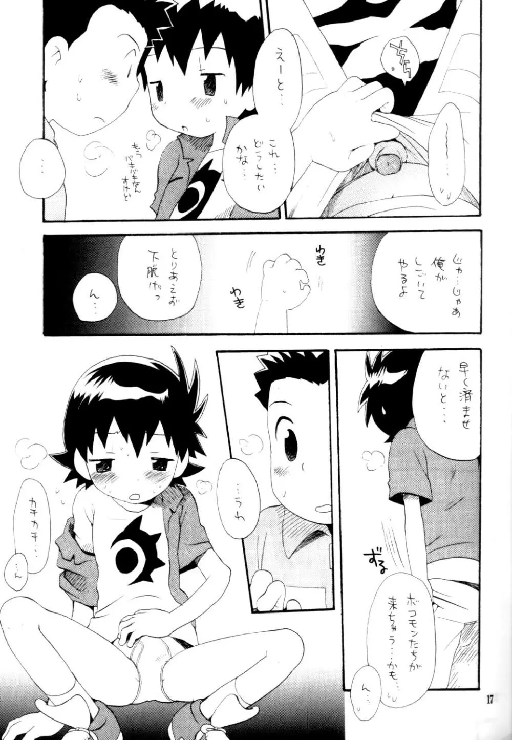 いなづまロックドーム Page.16